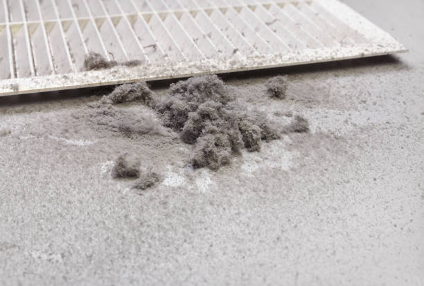 Best Residential Air Duct Cleaning  in Bertville, AL