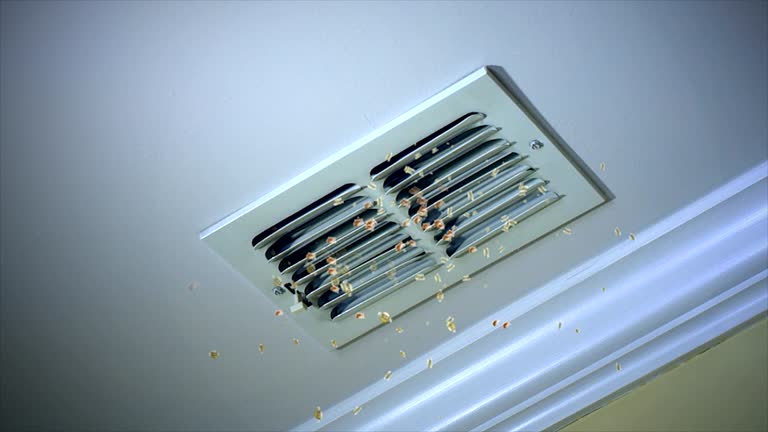 Best Best Air Duct Cleaning Company  in Bertville, AL