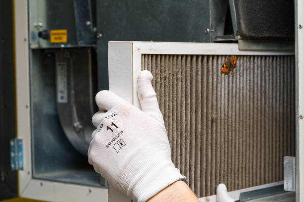 Best Affordable HVAC Duct Cleaning  in Bertville, AL
