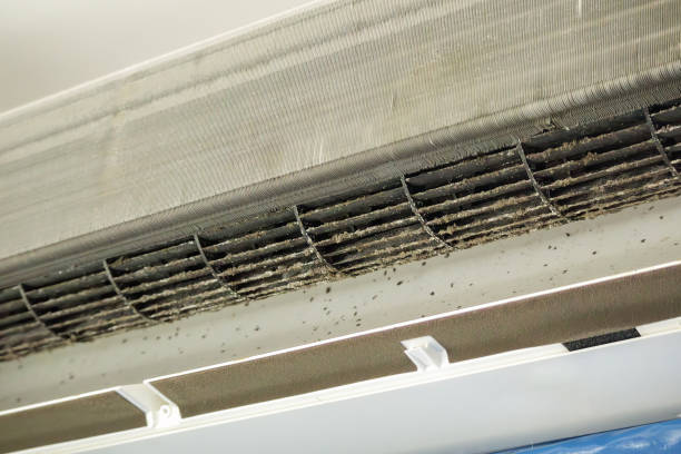Best Emergency Air Duct Cleaning  in Bertville, AL